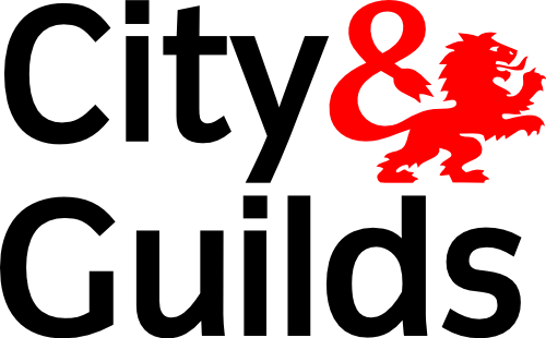 City & Guilds approved electricians City & Guilds logo
